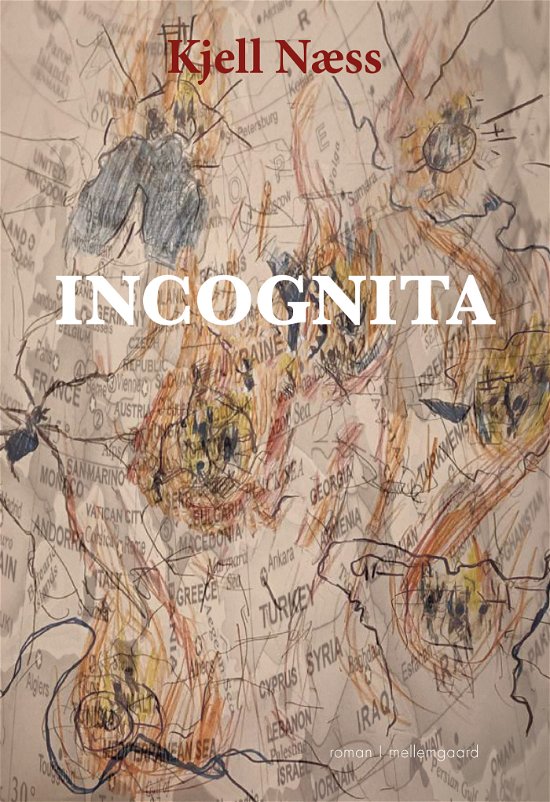 Incognita - Kjell Næss - Bøger - Forlaget mellemgaard - 9788776088934 - 19. juni 2024