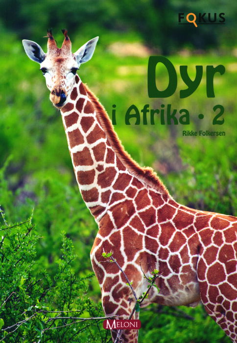 Cover for Rikke Folkersen · Fokus: Dyr I Afrika 2 (Sewn Spine Book) [1. wydanie] (2013)