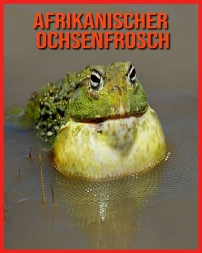 Cover for Linda Davis · Afrikanischer Ochsenfrosch (Paperback Book) (2021)