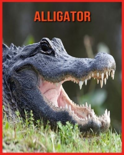 Cover for Annie Nichols · Alligator (Paperback Book) (2021)