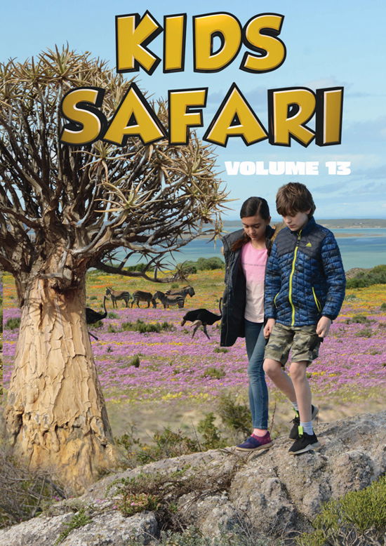 Kids Safari: Volume Thirteen (DVD) (2024)