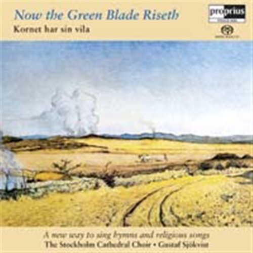 Cover for Stockholm Cath Choirsjokvist · Now The Green Blade Riseth (CD) (2004)