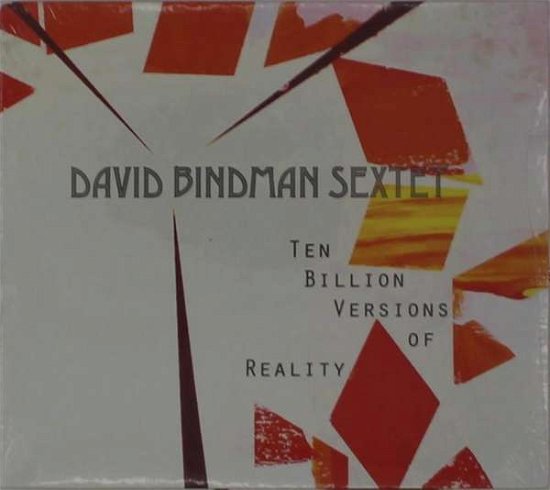 Ten Billion Versions of Reality - David Bindman - Musikk - David Bindman - 0888295645935 - 1. november 2017