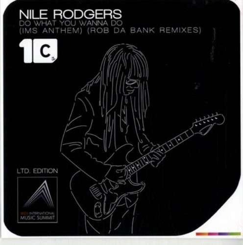 Do What You Wanna Do - Nile Rodgers - Musik -  - 5060312613935 - 13. maj 2014