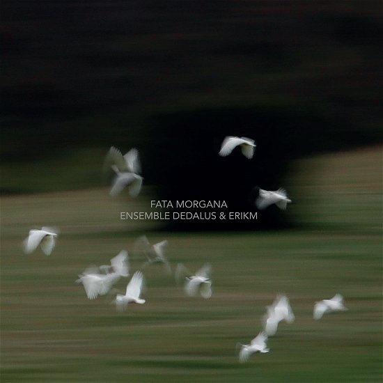 Cover for Ensemble Dedalus · Fata Morgana (CD) (2023)
