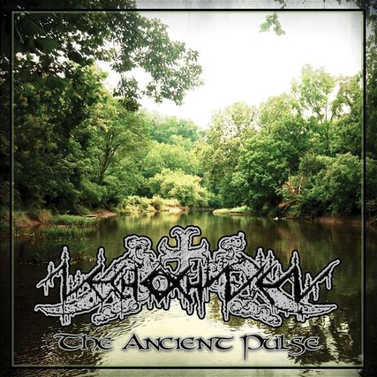 Nechochwen · The Ancient Pulse (CD) (2018)