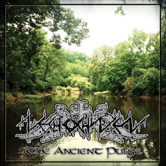 The Ancient Pulse - Nechochwen - Musik - NORDVIS - 7320470235935 - 9. November 2018