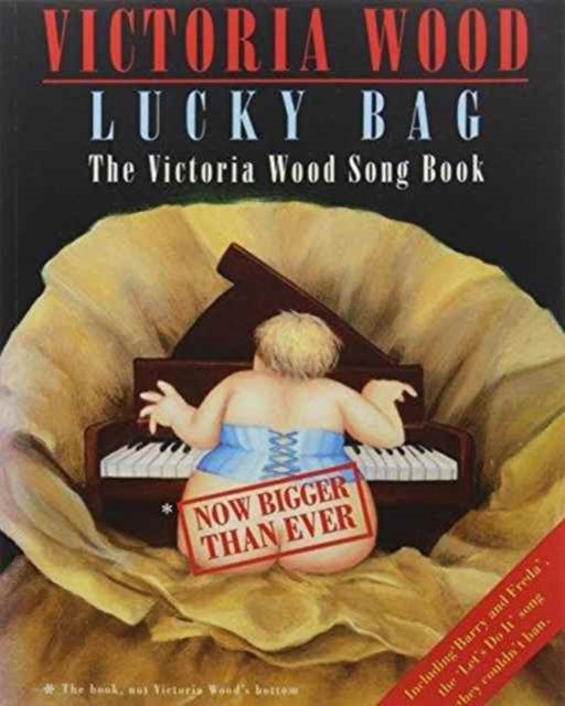 Cover for Victoria Wood · Lucky Bag (Paperback Book) (2016)