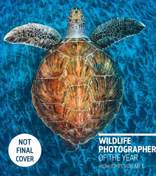 Cover for Wildlife Photographer of the Year: Highlights Volume 6: Volume 6 - Wildlife Photographer of the Year (Paperback Book) (2020)