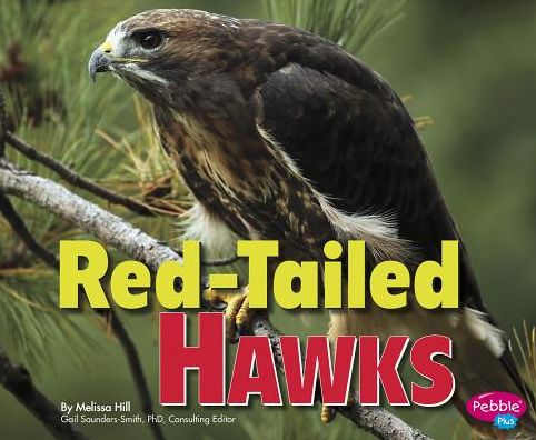 Cover for Melissa Hill · Red-tailed Hawks (Hardcover Book) (2015)