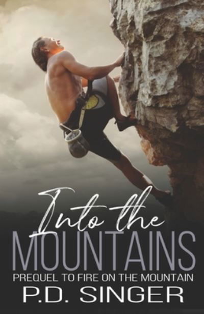 Cover for P D Singer · Into the Mountains (Paperback Book) (2020)