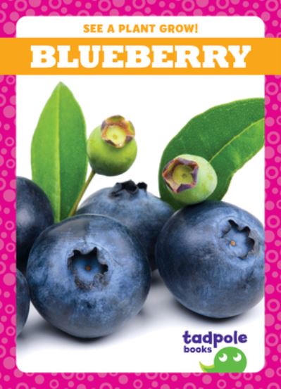 Cover for Gleisner · Blueberry (N/A) (2022)