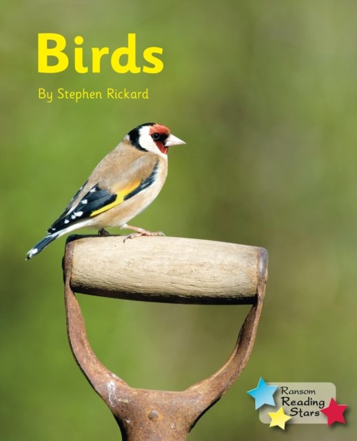 Cover for Rickard Stephen · Birds - Reading Stars (Taschenbuch) (2019)