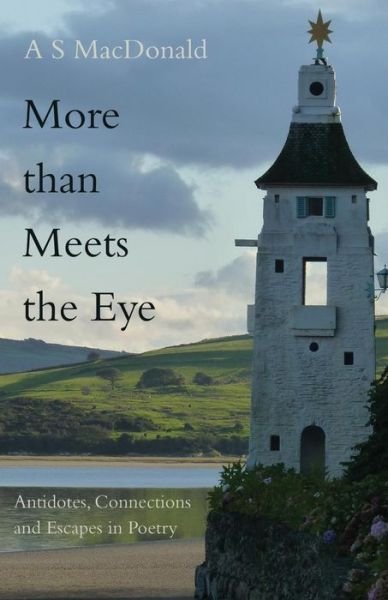 More than Meets the Eye: Antidotes, Connections and Escapes in Poetry - A. S. MacDonald - Kirjat - Troubador Publishing - 9781783062935 - maanantai 3. helmikuuta 2014