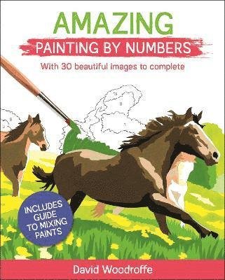Cover for David Woodroffe · Amazing Painting by Numbers: With 30 Beautiful Images to Complete. Includes Guide to Mixing Paints - Arcturus Painting by Numbers (Paperback Book) (2021)