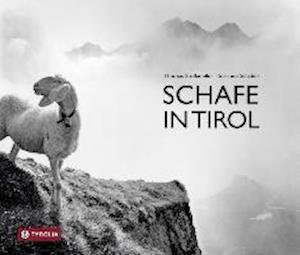 Cover for Schaber · Schafe in Tirol (Bog)