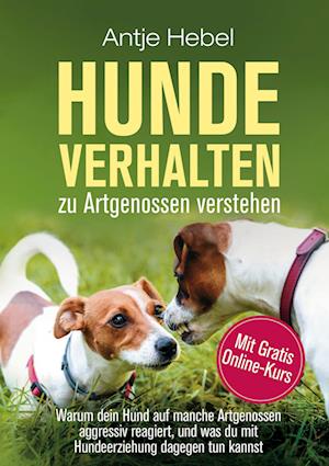 Cover for Antje Hebel · Hundeverhalten zu Artgenossen verstehen (Book) (2022)