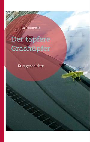 Cover for La Pastorella · Der tapfere Grashüpfer (Book) (2022)