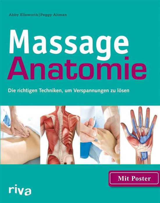 Cover for Ellsworth · Massage-Anatomie,m.Poster (Book)