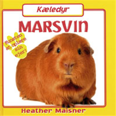 Cover for Heather Maisner · Kæledyr: Marsvin (Bound Book) [1e uitgave] (2007)