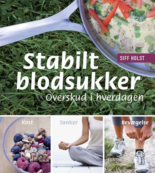 Stabilt blodsukker - Siff Holst - Libros - Hovedland - 9788770702935 - 27 de febrero de 2012