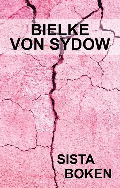 Cover for Maria Bielke von Sydow · Romansviten om skuld, försoning och återhämtning: Sista boken (Book) (2014)