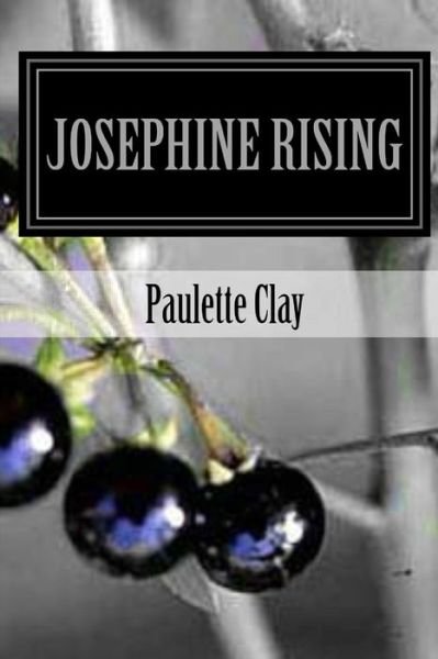Cover for Paulette Clay · Josephine Rising (Paperback Bog) (2020)