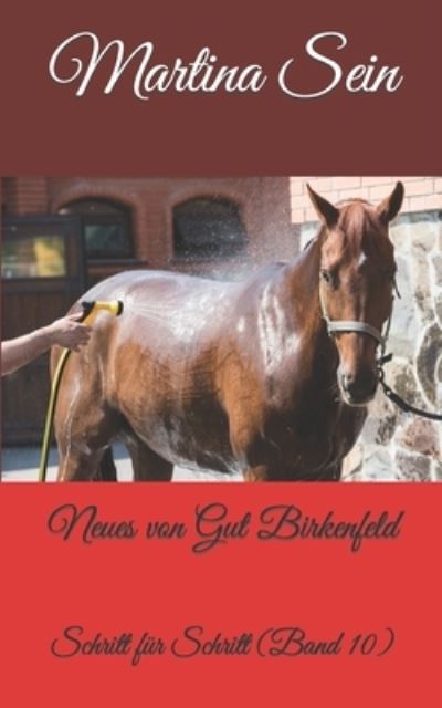 Cover for Martina Sein · Neues von Gut Birkenfeld (Paperback Book) (2020)