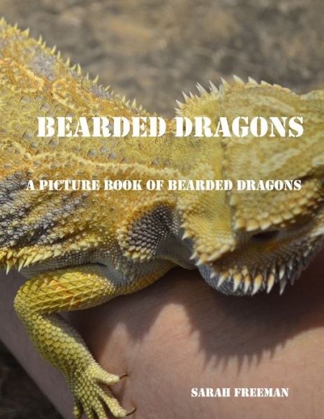 Cover for Sarah Freeman · Bearded Dragons Picture Book (Paperback Book) (2020)