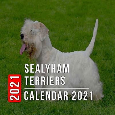 Cover for Christopher Mann · Sealyham Terriers Calendar 2021: 12-month mini Calendar from Jan 2021 to Dec 2021, Cute Gift Idea For Sealyham Terriers Lovers Or Owners Men And Women - Pictures in Every Month (Paperback Bog) (2021)