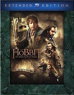 Cover for Hobbit: the Desolation of Smaug (Blu-ray) (2014)