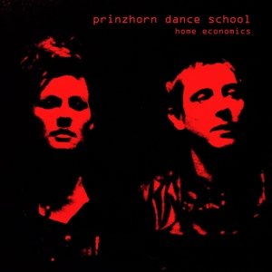Cover for Prinzhorn Dance School · Home Economics (CD) (2015)