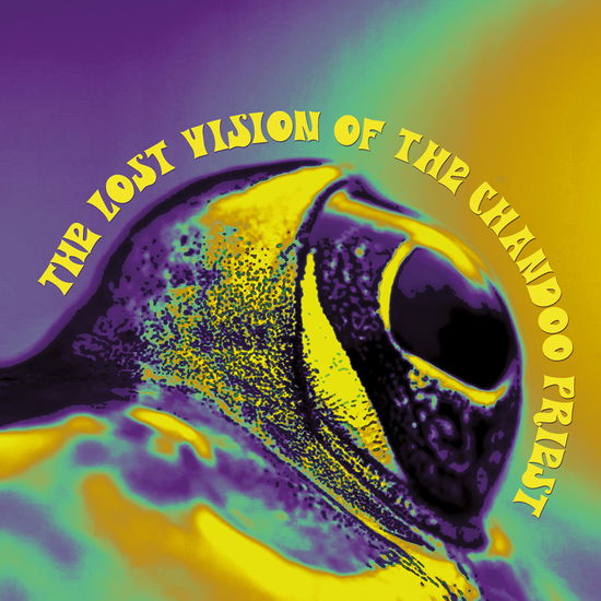 Lost Vision of the Chandoo Priest - Lost Vision of the Chandoo Priest - Música - AMS - 8016158331936 - 4 de novembro de 2022