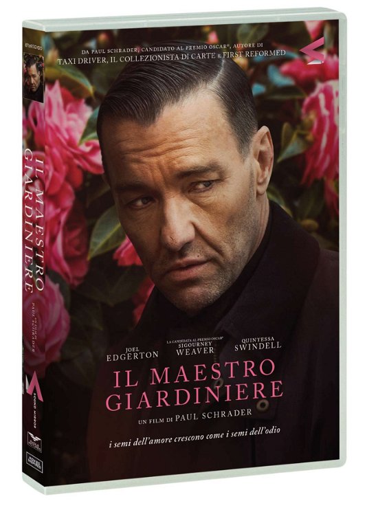 Cover for Maestro Giardiniere (Il) (DVD) (2024)