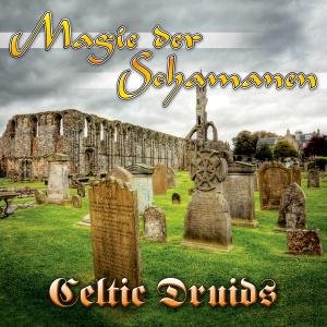 Cover for The Tribal Spirit Group · Magie Der Schamanen - Celtic Druids (CD) (2010)