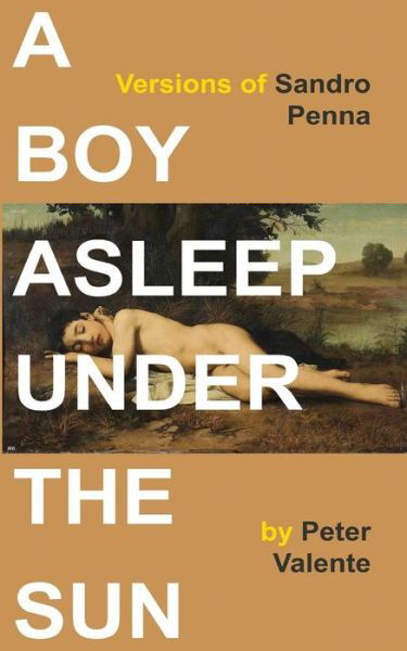 Cover for Peter Valente · A Boy Asleep Under the Sun: Versions of Sandro Penna (Paperback Book) (2014)