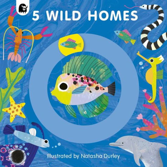 Cover for Happy Yak · 5 Wild Homes - 5 Wild... (Board book) (2021)