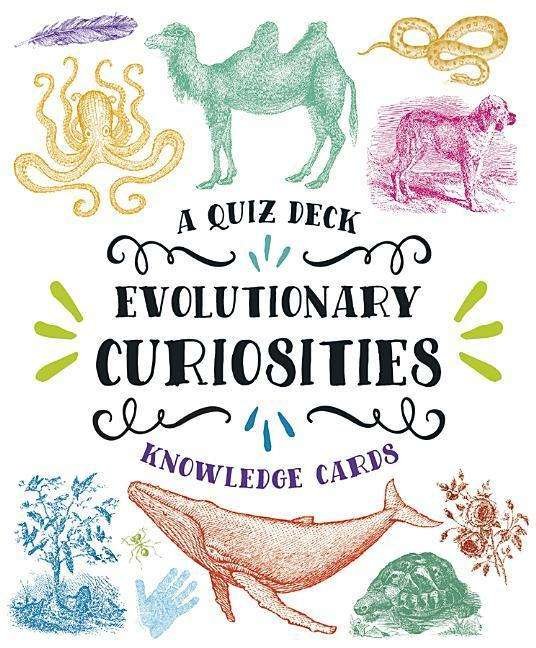 Cover for Jake A Brashears · Evolutionary Curiosities Knowledge Cards (GAME) (2016)