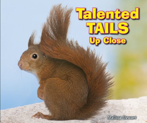 Cover for Melissa Stewart · Talented Tails Up Close (Animal Bodies Up Close) (Innbunden bok) (2012)
