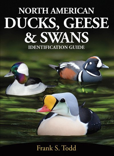 Cover for Frank Todd · North American Ducks, Geese and Swans: identification guide (Pocketbok) (2018)