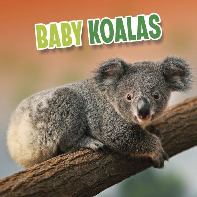 Cover for Martha E. H. Rustad · Baby Koalas - Baby Animals (Hardcover bog) (2022)