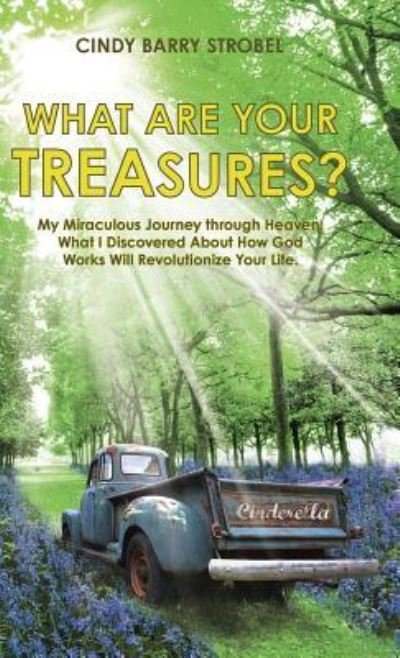 Cover for Cindy Barry Strobel · What Are Your Treasures? : My Miraculous Journey through Heaven : What I Discovered About How God Works Will Revolutionize Your Life. (Hardcover Book) (2015)