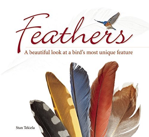 Cover for Stan Tekiela · Feathers: A Beautiful Look at a Bird's Most Unique Feature - Nature Appreciation (Taschenbuch) (2014)