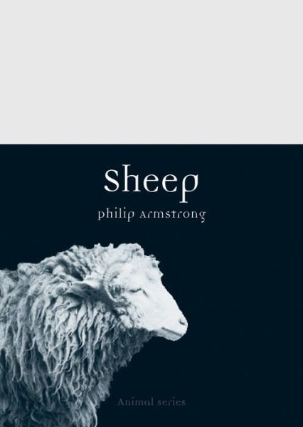 Cover for Philip Armstrong · Sheep - Animal (Paperback Book) (2016)