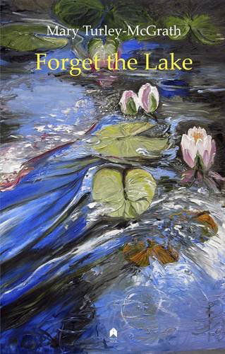 Cover for Mary Turley-McGrath · Forget the Lake (Taschenbuch) [1st edition] (2014)