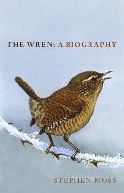 Cover for Stephen Moss · The Wren: A Biography - The Bird Biography Series (Innbunden bok) (2018)