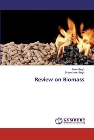 Cover for Singh · Review on Biomass (Bok) (2020)