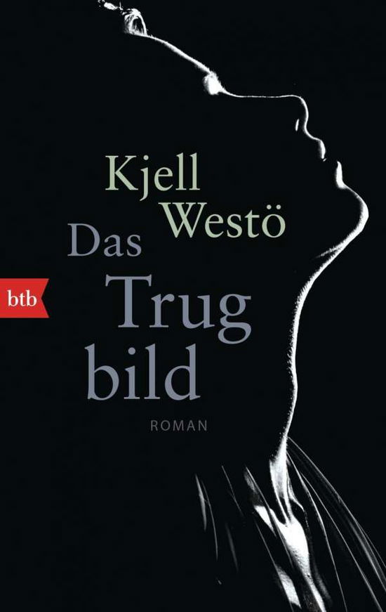 Cover for Kjell Westö · Btb.71393 Westö.das Trugbild (Book) (2016)