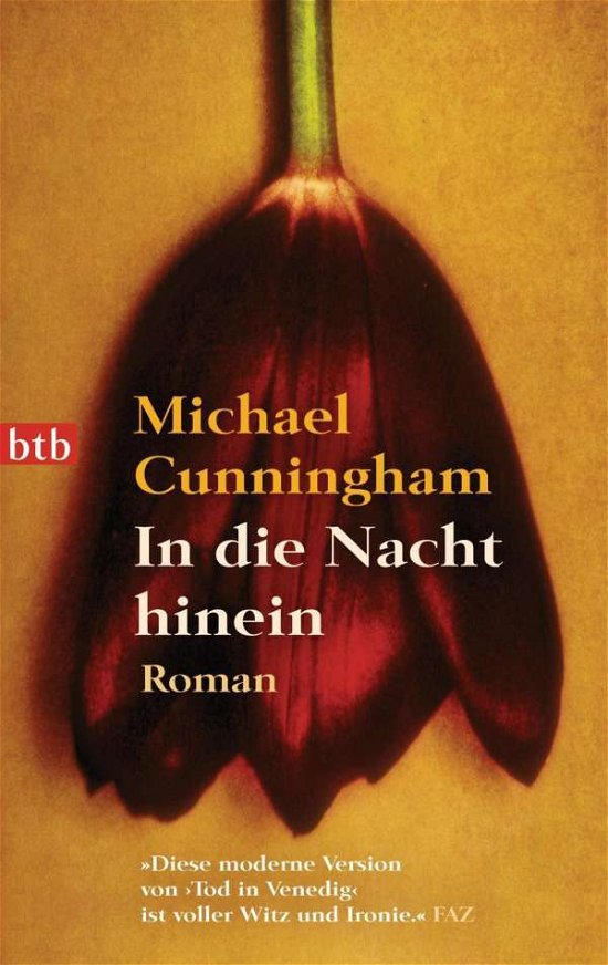 Cover for Michael Cunningham · In Die Nacht Hinein (Bok)