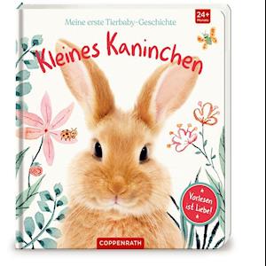 Cover for Amanda Wood · Meine erste Tierbaby-Geschichte: Kleines Kaninchen (Board book) (2021)